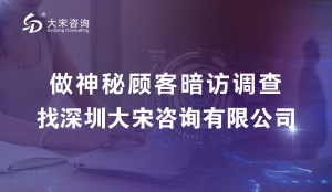 大宋咨询（深圳政府绩效评估）开展深圳某供水窗口服务暗访调查