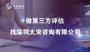大宋咨询新产品入市调研：以数据为舵，让新品精准触达市场（第三